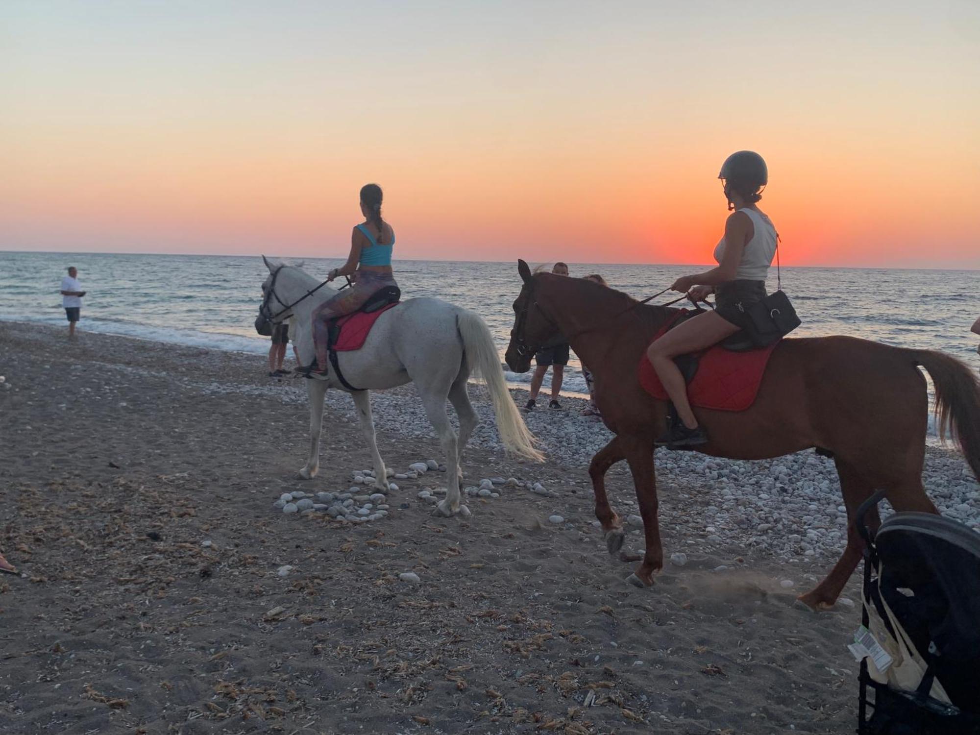 Maison Caroual Erquy 500M De La Plage 外观 照片